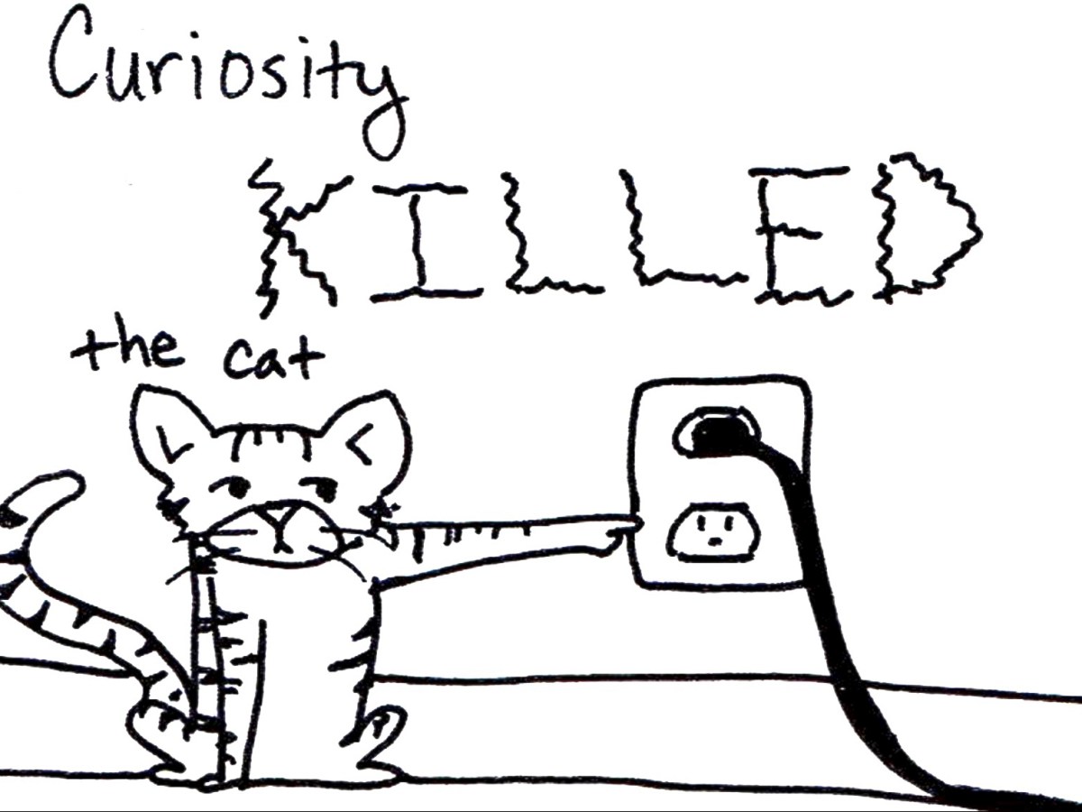 Cultivating Curiosity: A Key to Success in Australian&nbsp;Workplaces